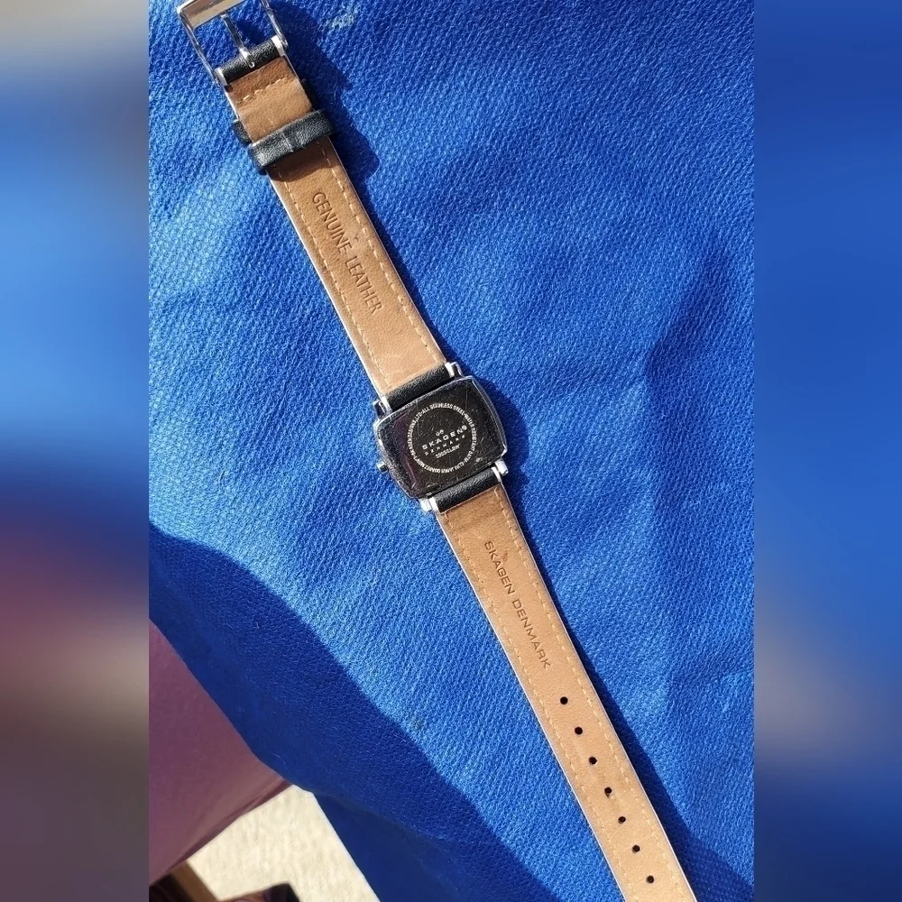 Skagen Denmark Slim Water Resistant Battery Operated Bracelet Watch